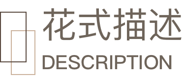 花式描述